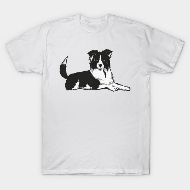 Border Collie dog pet T-Shirt by Picasso_design1995